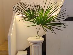 -伊斯坦布尔土耳其清真咖啡餐厅