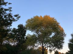 景点-长春市南湖公园