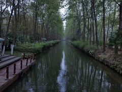 -合肥滨湖国家森林公园