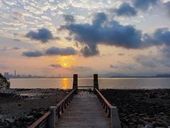 -深圳湾公园(南山区)