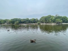 -石家庄市动物园