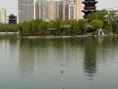 -迎泽公园