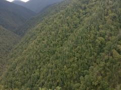 -凤凰山国家森林公园
