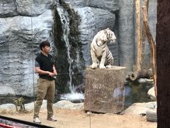 -清迈夜间动物园