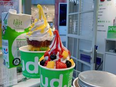 冻酸奶-Salud撒露欧洲冻酸奶(蓝色港湾店)