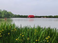 -洛阳市隋唐城遗址植物园