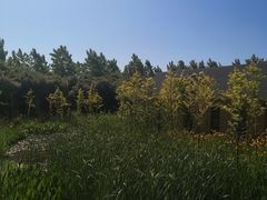 -嬉乐湾休闲旅游区