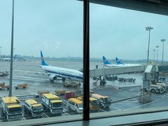 -郑州新郑国际机场-T2航站楼