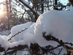 -雪谷