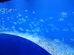 -波塞冬海底世界