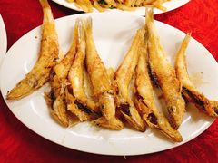 香煎沙尖鱼-蛇口康乐快餐鱼仔档(翠苑小区店)