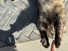 -终南山南五台景区