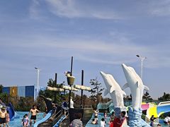 -秦皇岛乐岛海洋王国