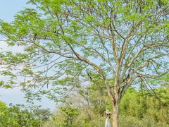 -中国科学院西双版纳热带植物园