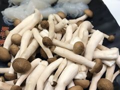 随意双拼-呷哺呷哺(新世界百货望京店)