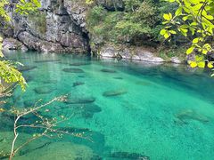 -石台牯牛降景区