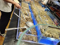 -韩盛炭火烤肉(万达广场店)