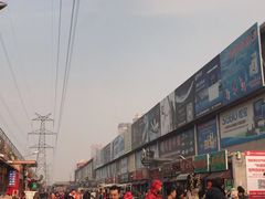 -中环花鸟鱼虫市场