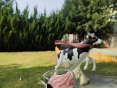 -君乐宝优致牧场