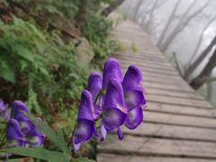 -白草畔自然风景区