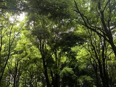 -古塔公园