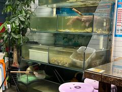 -鲁前海沿儿