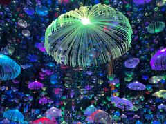 -梵高星空艺术馆(北京旗舰店)