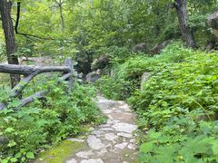-灵溪风景区