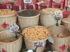 -刘淑芬·活鱼铁锅炖(北京首店)