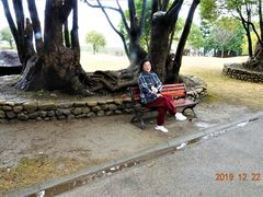 -上海多利农业发展有限公司