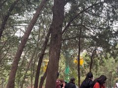 -云龙山