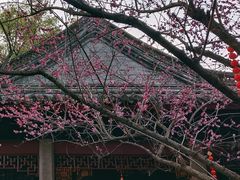 -天一阁博物院