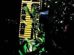 久闻大名-山色柴火烤披萨·原切牛扒