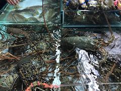 -班赞海鲜市场