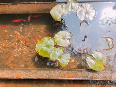 -箱美术馆私房菜(水晶郦城店)