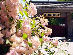 -莲花池公园