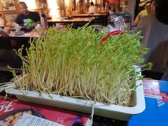 -老表记广西宵夜螺蛳鸭脚煲(西大店)