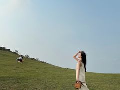 -大姆山草场