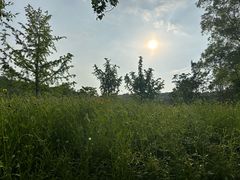 -苏州上方山国家森林公园