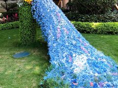 -恒大世纪梦幻城