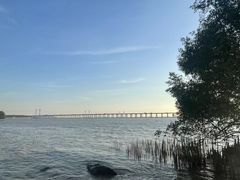 -宝安西湾红树林湿地公园