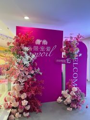 -石家庄苏亚美联臣医疗美容医院