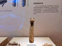 -广西壮族自治区博物馆