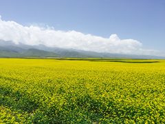 -青海湖国家重点风景名胜区