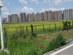 -洋湖国家湿地公园