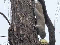 -满记甜品(湖滨店)