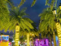 -三亚海昌梦幻海洋不夜城