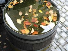 -徐家汇源景区-衡山坊
