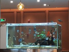 -黄鱼炙夜(华家池店)