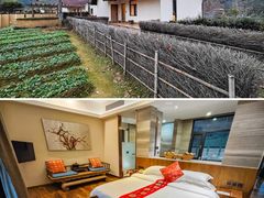 -大余丫山旅游度假区